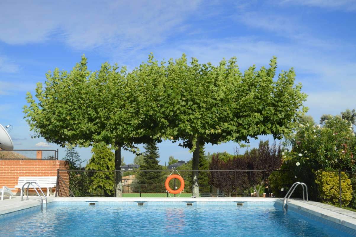 59 Innovative Ways to Attract Younger Clients to Your Pool Service — pool service business insights