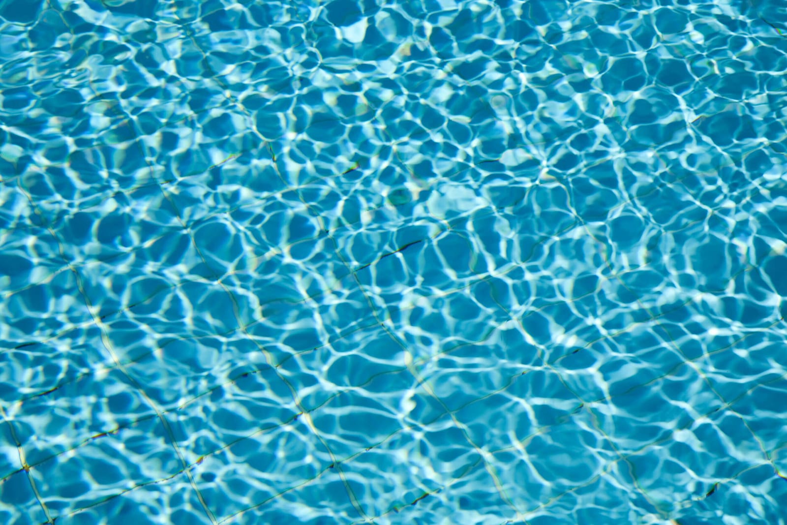 How Regional Differences Shape Service Schedules — pool service business insights