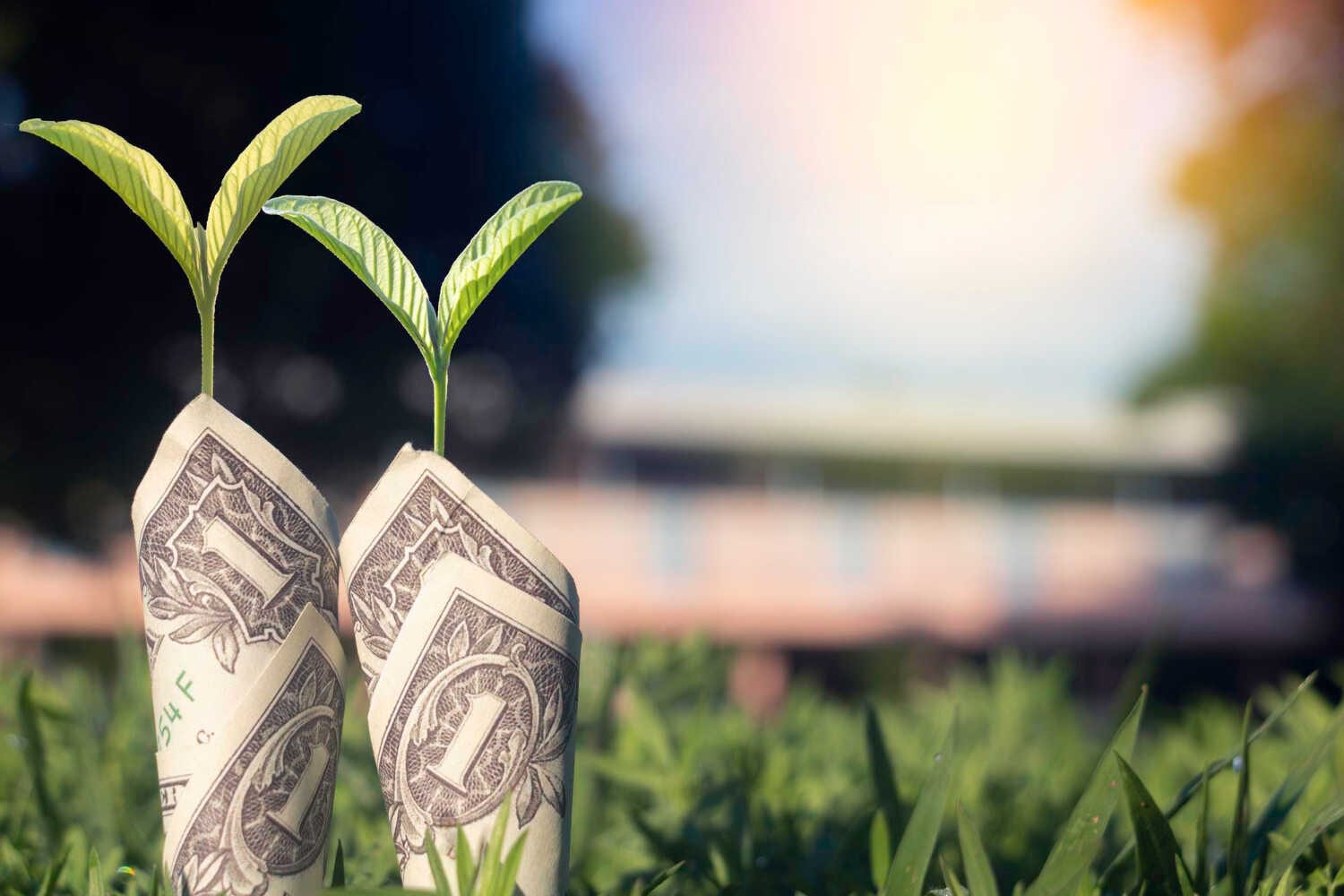 How to Find Profitable Pool Clients in Plano, Texas — pool service business insights