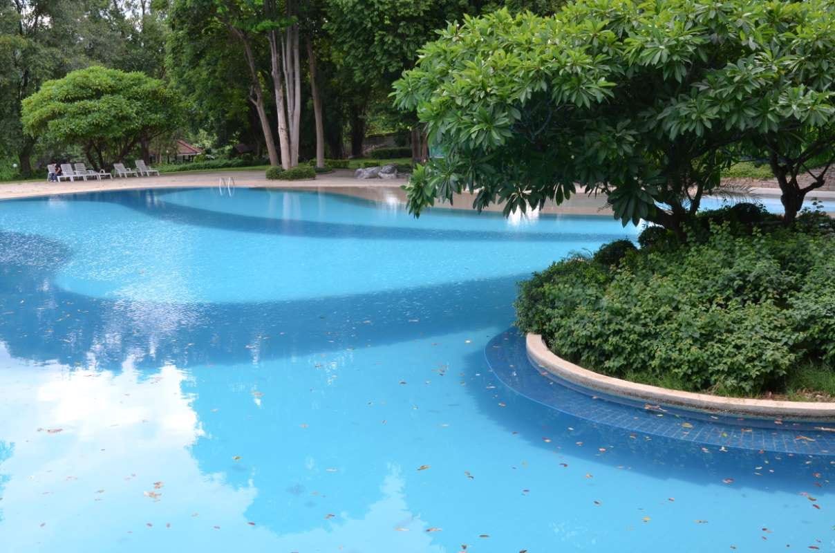 How to Train Technicians to Speak Confidently With Homeowners — pool service business insights