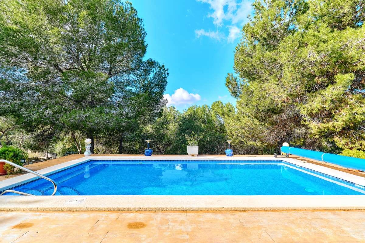 How to Use Video Content to Attract Pool Service Clients — pool service business insights