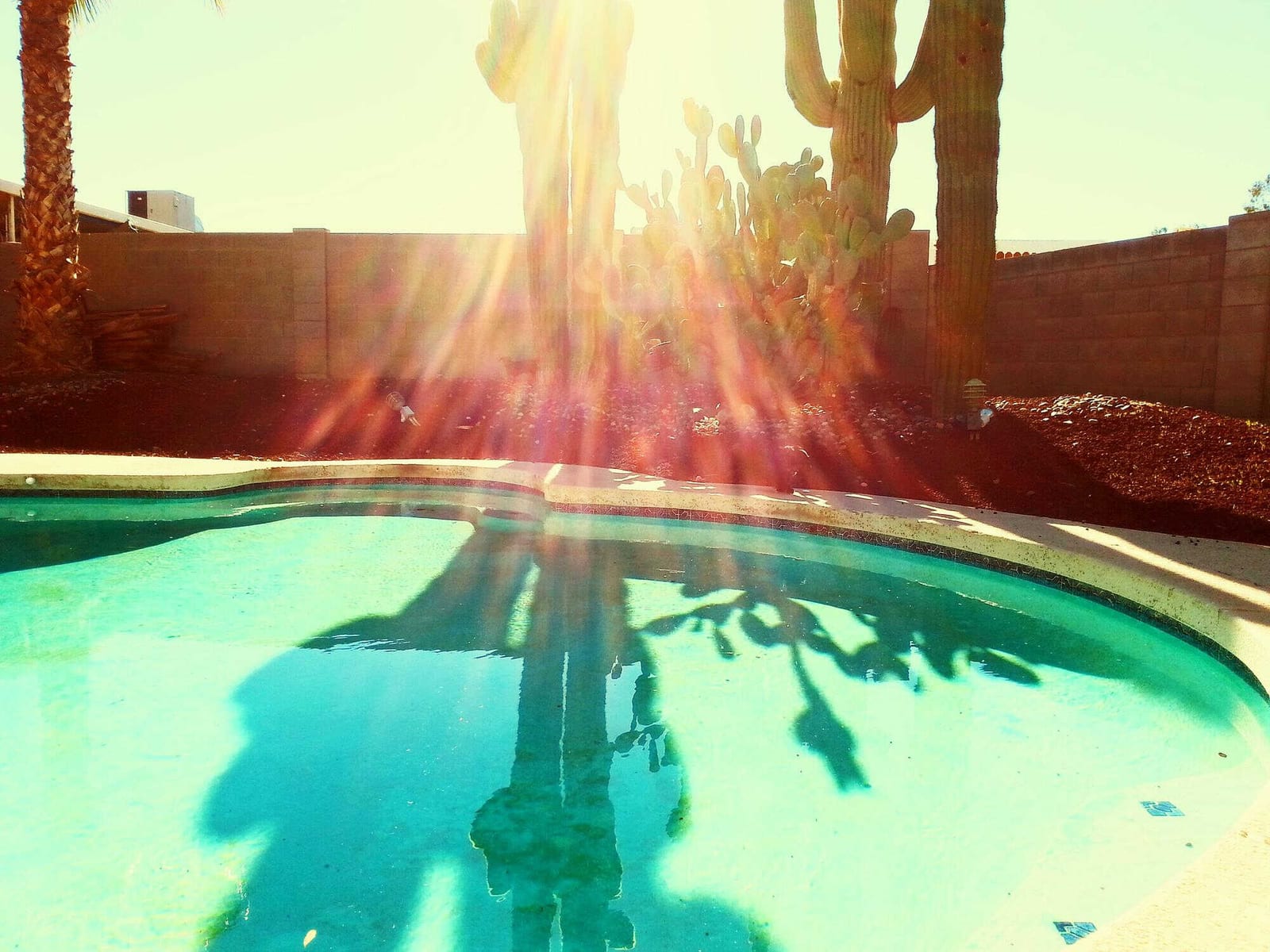 Neighborhood Marketing in Arizona: How to Train Teams for Better Results — pool service business insights