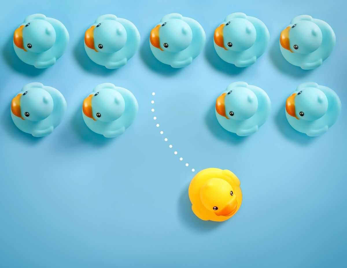 Pool Routes for Sale – Why Superior Pool Routes is the Best Choice for Your Pool Route Needs — pool service business insights