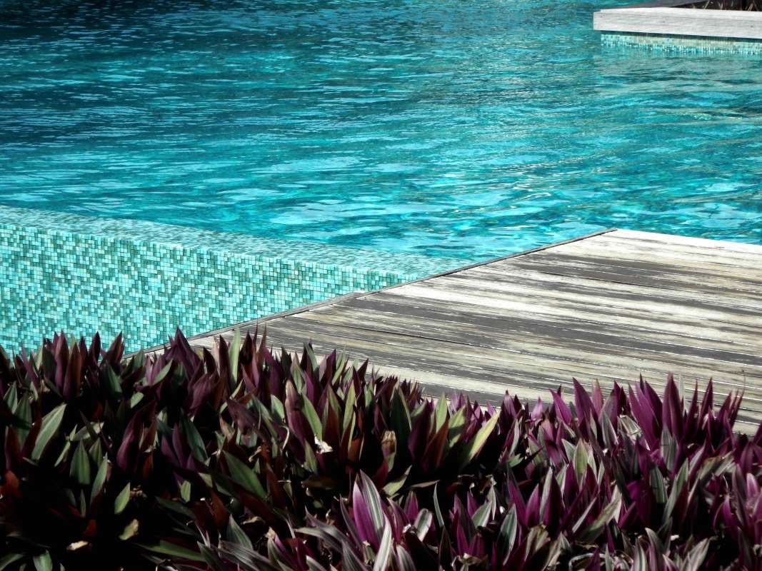 Tips for Servicing High-End Properties in Pompano Beach, Florida — pool service business insights