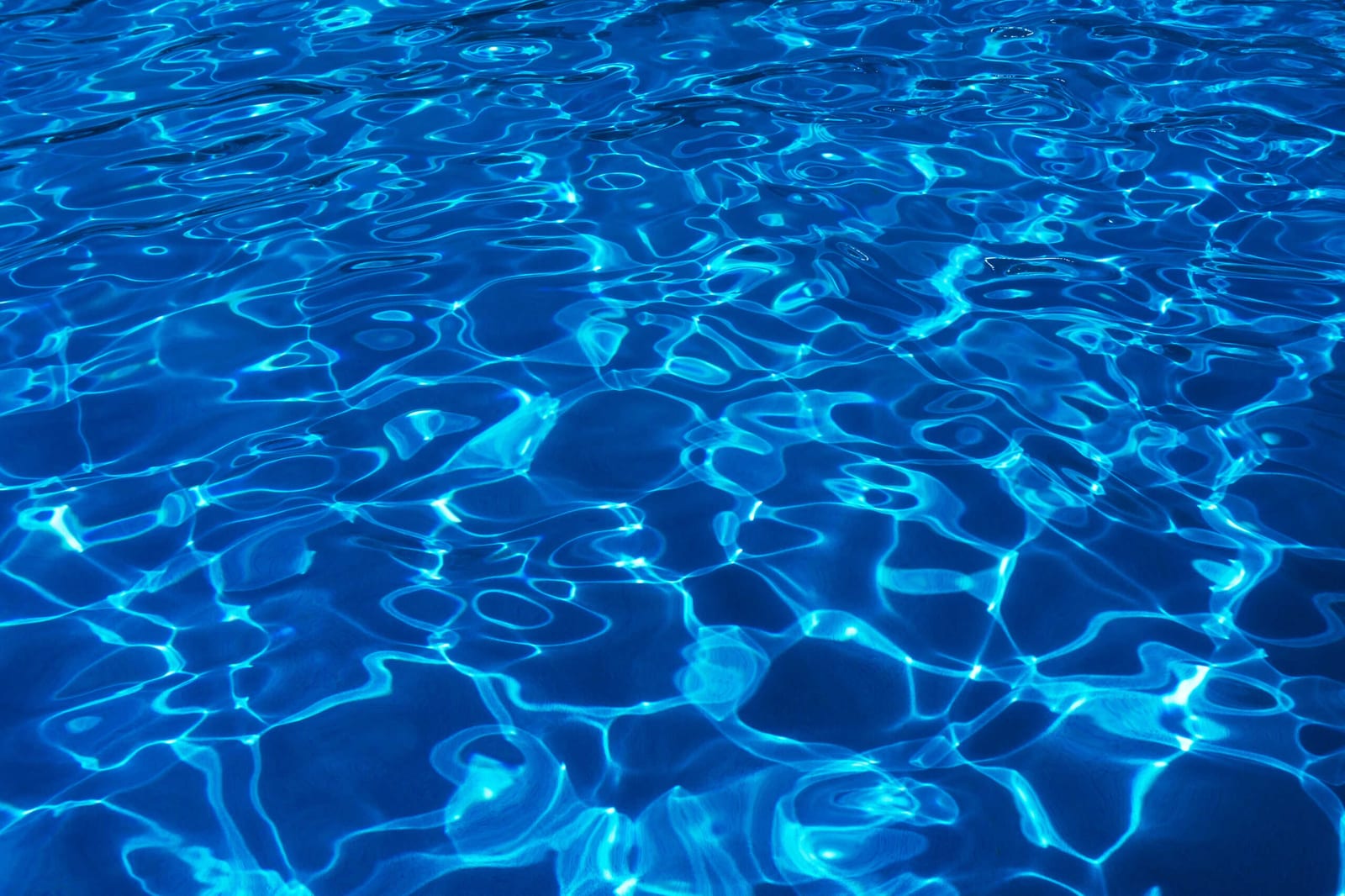 What Pool Techs Should Document Daily in Deltona, Florida — pool service business insights