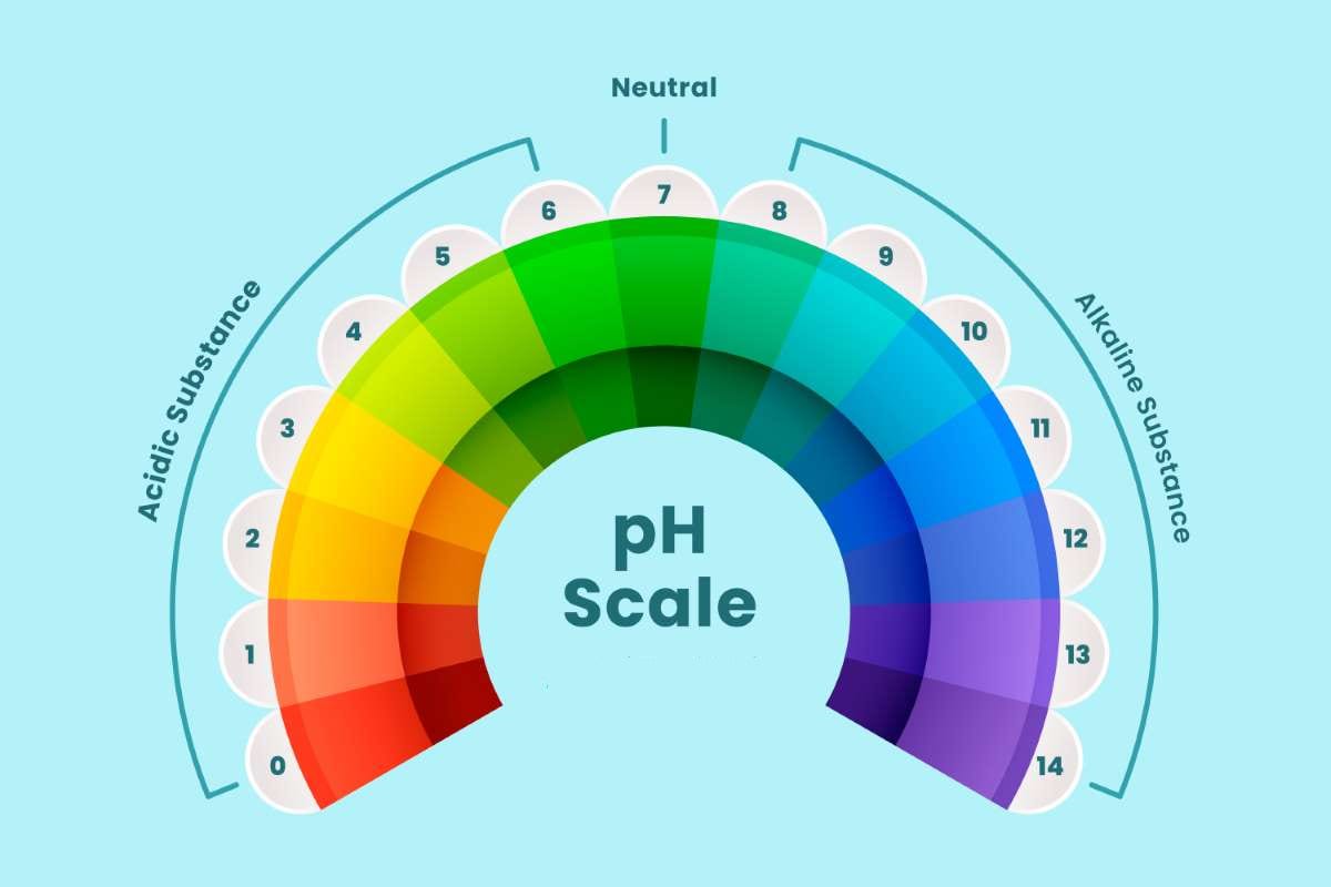 Why Zip Code Density Affects Pool Route Efficiency — pool service business insights